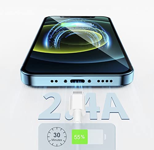 iPhone Charger Cord Lightning Cable [MFi Certified] 6ft/6ft/10ft 3 Pack Apple 4