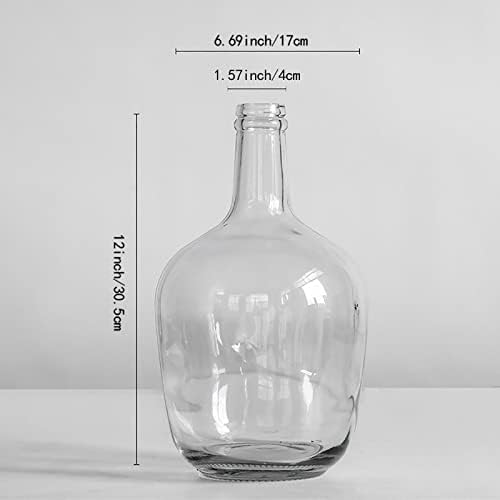 HEWEGO Clear Large Glass Vase,Balloon Glass Jug Vase for Farmhouse 2