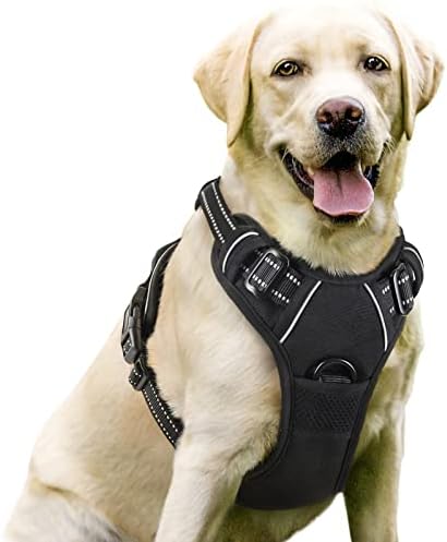 rabbitgoo Dog Harness, No-Pull Pet Harness with 2 Leash Clips, Adjustable Soft