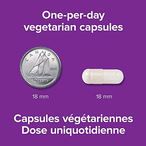 414dY1ByYdL._AC_.jpg