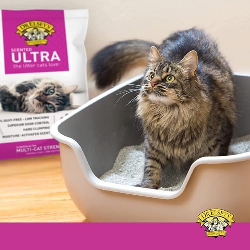 Dr. Elsey’s Premium Clumping Cat Litter | Ultra Scented | 99.9% Dust-Free 5