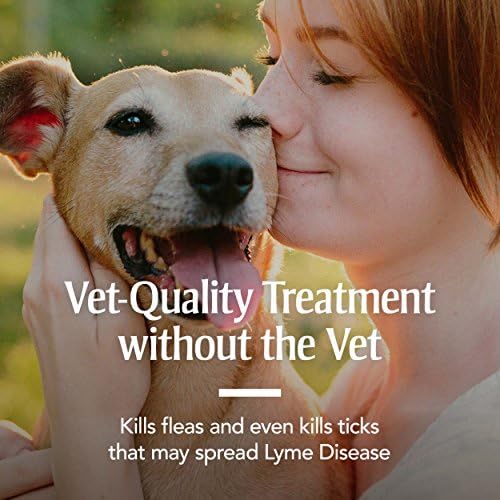 PETARMOR Home Carpet Powder for Fleas and Ticks, Protect Your Home From Fleas 2