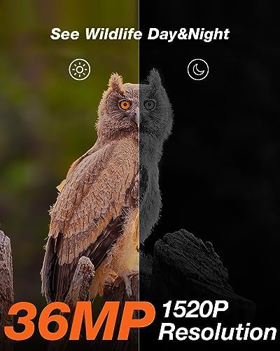 Solar Trail Camera 1520P 30fps 36MP, iZEEKER Game Camera 4