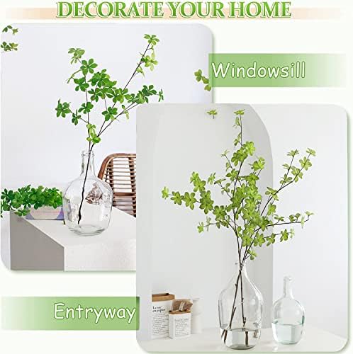 HEWEGO Clear Large Glass Vase,Balloon Glass Jug Vase for Farmhouse 7