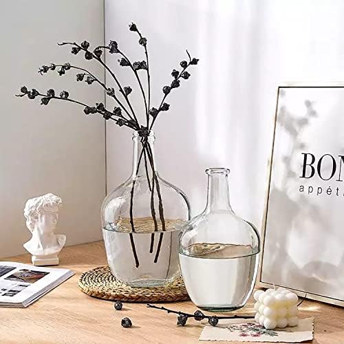 HEWEGO Clear Large Glass Vase,Balloon Glass Jug Vase for Farmhouse 4