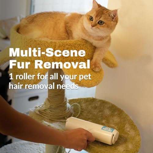DELOMO Pet Hair Remover – Lint Roller for Pet Hair – Cat and Dog Hair Remover 5