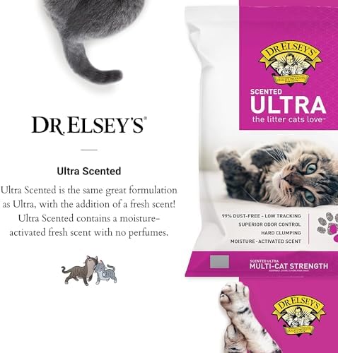 Dr. Elsey’s Premium Clumping Cat Litter | Ultra Scented | 99.9% Dust-Free 6