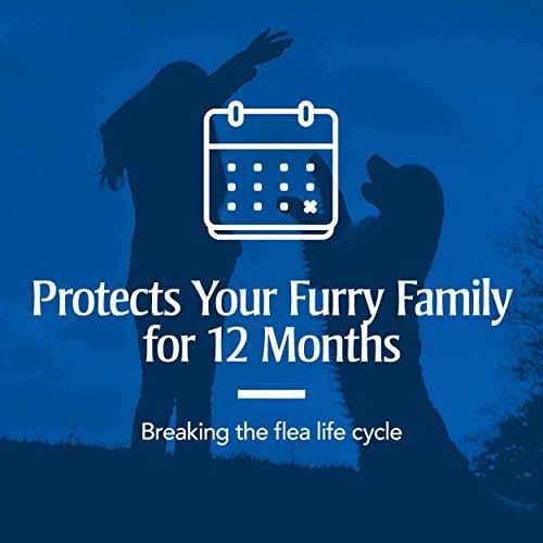 PETARMOR Home Carpet Powder for Fleas and Ticks, Protect Your Home From Fleas 3
