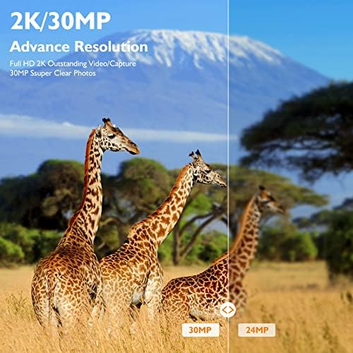 51FOYwlnCcL._AC_.jpg