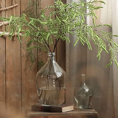 HEWEGO Clear Large Glass Vase,Balloon Glass Jug Vase for Farmhouse 5