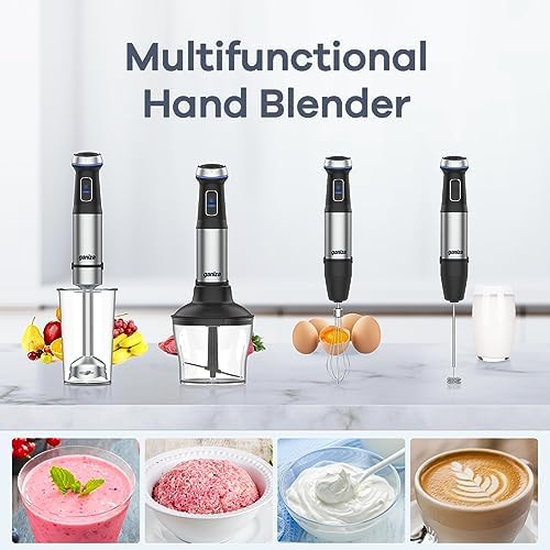 Ganiza Immersion Blender, Electric Hand Blender 800W with 15 Speed 6