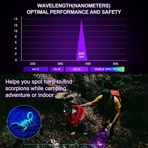 51XYO8fePDL._AC_.jpg