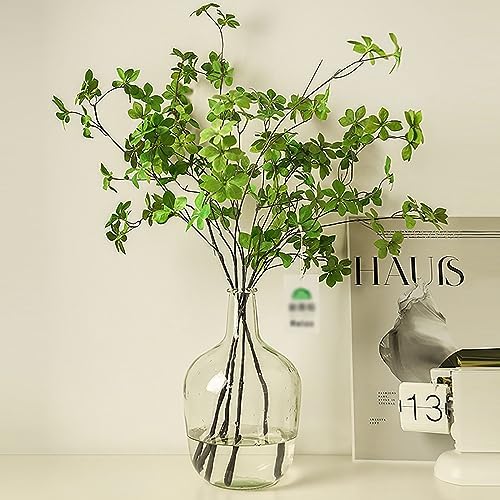 HEWEGO Clear Large Glass Vase,Balloon Glass Jug Vase for Farmhouse 9