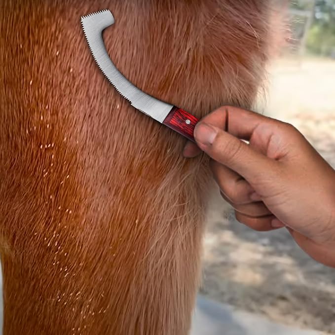 Equine Care Bot Fly Egg Remover for Horses, Bot Fly Knife 3